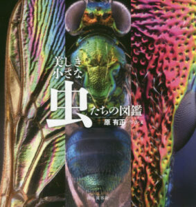 山と渓谷社 美しき小さな虫たちの図鑑