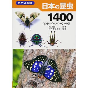 文一総合出版 日本の昆虫1400 (1) チョウ・バッタ・セミ (ポケット図鑑)