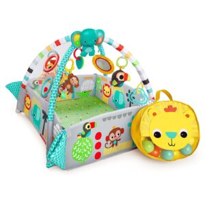 Bright Starts（ブライトスターツ） ヨアウェイ・ボール・プレイジム 10754